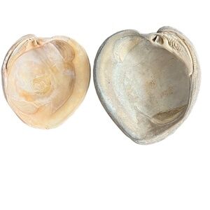 Vintage Large Clam Shell White Natural Seashell Home Indoor Beach Sea Side Decor